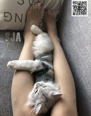 bdsm性折磨bdsm欧美受虐狂_蓝光高清完整版