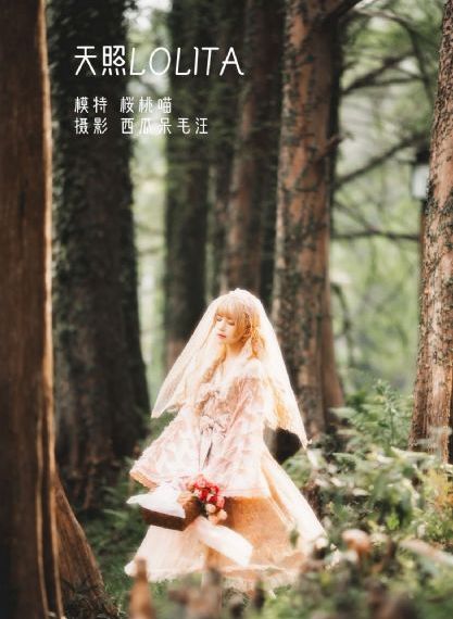 九色视频在线观看网站_蓝光原盘在线观看