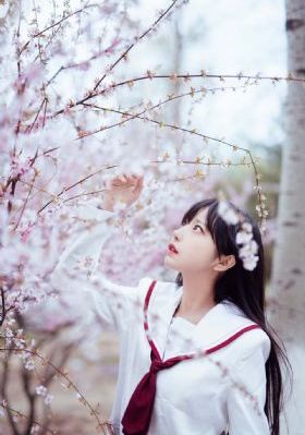 欧美黑寡妇黄网站免费_蓝光电影完整版在线观看
